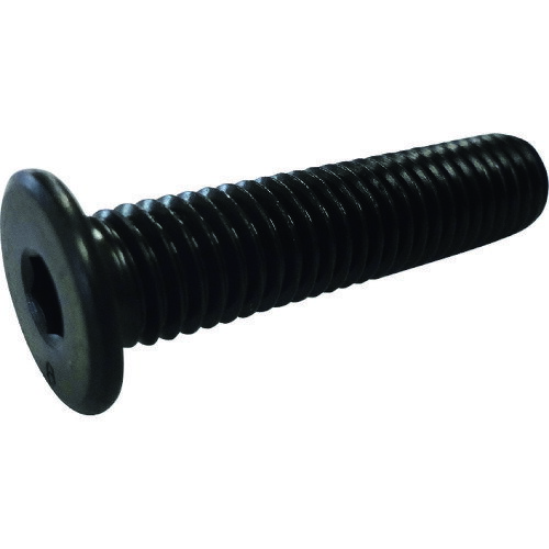 ΥNSإåɡѥȡͤ5x25 10ա:ULHCS-P8-525ˡ220461110]ӸѤ,ˡ͡Ƚ,