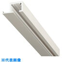 ■ダイケン ピクチャーレール FR30-17C型レール 3m ホワイト (品番:FR30-17C-3)(注番2262147)