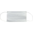TRUSCO 作業用マスク(耳掛けタイプ)2層 (100枚入) (品番:TEM2L-100)(注番2310257)