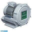 昭和 電動送風機 渦流式高圧シリーズ ガストブロアシリーズ(0.07kW) (品番:U2V-07T)(注番2387336)・(送料別途見積り,法人・事業所限定,...