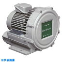 昭和 電動送風機 渦流式高圧シリーズ ガストブロアシリーズ(0.3kW) (品番:U2V-30S)(注番2387387)・(送料別途見積り,法人・事業所限定,直...