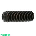 SUNCO ステンHS (Wポイント 6×12 (500本入) (品番:A0-02-504T-0060-0120-00)(注番2409140)・(送料別途見積り...