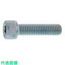 SUNCO　A－C22　CAP　6×22　（20本入） （品番:A0-A1-0000-0060-0220-00）（注番2411508）・（送料別途見積り,法人・事業所限定,取寄）