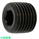 SUNCO SUS316L テーパープラグ 浮き 1/4 (100本入) (品番:A0-12-5700-8020-0000-00)(注番2413004)・(送料...