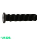SUNCO ステンレス 小頭NSローヘッド 4×16 (1000本入) (品番:A0-02-L350-0040-0160-00)(注番2416104)・(送料別...