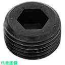 SUNCO ステンGOSHOプラグ NPTF (沈み GDL 3/8 (500本入) (品番:A0-02-5840-8030-0000-00)(注番241711...