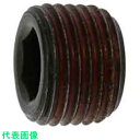 SUNCO ストッキングプラグシズミ GM 1/4 (500本入) (品番:A0-00-581S-8020-0000-00)(注番2419782)・(送料別途見積り,法人・事業所限定,取寄)