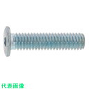 SUNCO 三価ホワイト 極薄・NSローヘッド 3×10 (1000本入) (品番:A0-00-L300-0030-0100-03)(注番2436143)・(送...