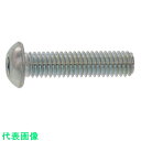 SUNCO　ボタンCAP （アンスコ　5×45　（200本入） （品番:A0-00-100A-0050-0450-00）（注番2477042）・（送料別途見積り,法人・事業所限定,取寄）