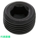 SUNCO プラグNB (強力沈み PT 1/2 (100本入) (品番:A0-00-571N-8040-0000-00)(注番2486789)・(送料別途見積...