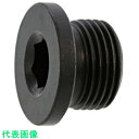 SUNCO NSフランジプラグ G 1/4 (200本入) (品番:A0-00-5750-8020-0000-00)(注番2491411)・(送料別途見積り,法...