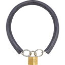 SOL チェーンパドロック シリンダー錠タイプ(ステンロック) ステン600mm (品番:2590-35S)(注番2496815)