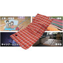 富士倉 DC 電気毛布 (品番:FDM-50W)(注番2539656)