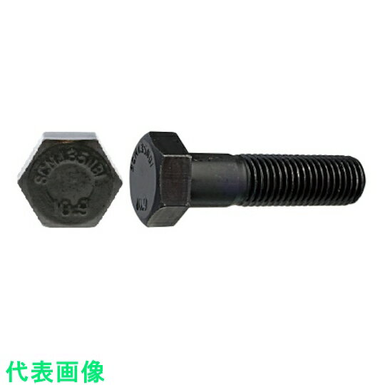 SUNCO109ϻѥܥȡNBI12X100X3040 :B0-00-B400-0120-1000-00[2549556]ӸѤ,ˡ͡Ƚ,