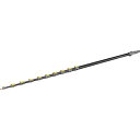 KARCHER 高圧洗浄機用アクセサリー 伸縮ポールTL 14 C(iSolar)2.4-14m (品番:4.762-613.0)(注番2585272)・(法人...