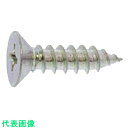 SUNCO ステン (+)Aサラ 8×100 (50本入) (品番:20-02-0001-0080-1000-00)(注番2604192)・(送料別途見積り,法...