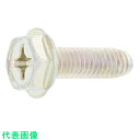SUNCO 三価ブラック Sタイプ+六角フランジ B10D13 6×16 (300本入) (品番:30-00-000B-0060-0160-04)(注番2619...
