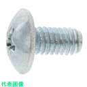 SUNCO 三価ホワイト FTネジ (トラス) 4×16 (4000本入) (品番:30-00-FT03-0040-0160-03)(注番2619251)・(送...