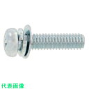 SUNCO 組込みねじ (+)ナベP=4 (鉄 (または標準)・ニッケル) M5×25 (500本入) (品番:10-00-0004-0050-0250-05)...