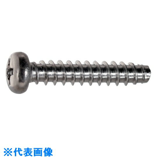 TRUSCO　ナベ頭タッピングねじ　2種溝なしB0　ステンレス　M2×4　6200本入　ヘキサゴンパ