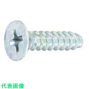 SUNCO ニッケル Bタイプサラ 2×4 (20000本入) (品番:30-00-1001-0020-0040-05)(注番2628688)・(送料別途見積り...