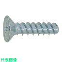 SUNCO BK SUS (+)Pタイプサラ 2×6 (8000本入) (品番:30-02-2001-0020-0060-08)(注番2633465)・(送料別...