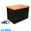 TRUSCO テーブルリフト 500kg 電動Bねじ式 200V 750×1200mm 蛇腹付 (品番:HDL-L50712VJ-22)(注番2638894)・...