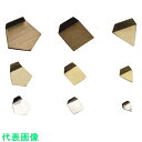 ViBRA E2PSO-2M:OIML型板状分銅 小質量 2mg E2級 JCSS校正付 (品番:E2PSO-2M)(注番2669046)