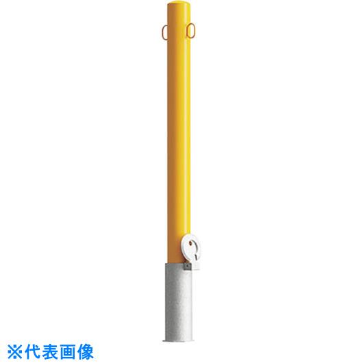 ■カネソウ　車止め　スチール製　焼付塗装　脱着式　鋳鉄製蓋　Eシリーズ （品番:EC0785RC-HD(W)） （注番2690568）