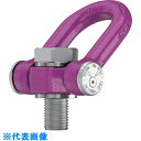 RUD ACPトルネードー12.5t-M36 (品番:ACP12.5TM36)(注番2690627)・(法人・事業所限定,直送元)