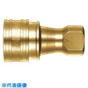 □日東 SP-AカプラTypeA (品番:2S-V-A-BRASS-FKM)(注番2701876)