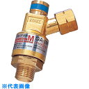小池酸素 アポロゴールドアレスター 乾式安全器 適用流体燃料ガス S1F01162 (品番:GA-2MK)(注番2925044)