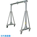 江崎 アルミ合金製門型クレーンSL型(省スペースタイプ) 定格荷重1000kg (品番:SL30-SS35-LF-1000)(注番3150337)・(送料別途見...