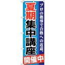 sign city のぼり旗 夏期集中講座 開催〜青 No.GNB−1593 W600×H1800 (品番:6300012234)(注番3217492)・(法人...