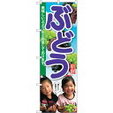 sign city のぼり旗 ぶどう 子供写真 No.SNB−2201 W600×H1800 (品番:6300016305)(注番3232119)・(法人・事業...