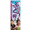 sign city のぼり旗 ぶどう狩り 子供写真 No.SNB−2202 W600×H1800 (品番:6300016306)(注番3235225)・(法人・...