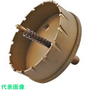 エビ 超硬ホルソー(チタンコーティング) 100mm (品番:HO100G)(注番3314685)