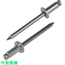 エビ ブラインドリベット(ステンレス/ステンレス製) 5-4(300本入) エコBOX (品番:NST54EB)(注番3382991)