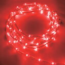 tlight LEDチューブストリング レッド L1000 (品番:CTCR1-33-30P/2)(注番3541852)