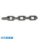 TRUSCO JIS F2106第一種規格相当 ロングリンクチェーン スチール 磨き 線径19mm×長さ9.1M〜10.0M (品番:TIC-19-LG-M-1...