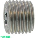 SUNCO　三価ホワイト　阪村　プラグ （沈み　SWCH10R　R1／2－14　（8本入） （品番:A0-00-5610-8040-0000-03-8） （注番3705728）・ （送料別途見積り,法人・事業所限定,取寄）