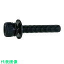 SUNCO ステンWA−SP (P=3 アンスコ 2×8 (30本入) (品番:A0-02-903A-0020-0080-00-30)(注番3714868)・(...
