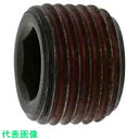 SUNCO ストッキングプラグシズミ GM 1/16 (5本入) (品番:A0-00-581S-8005-0000-00-5)(注番3726890)・(送料別途見積り,法人・事業所限定,取寄)