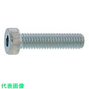 SUNCO ニッケル ローヘッドCAP 3 X 6 (30本入) (品番:A0-00-L000-0030-0060-05-30)(注番3728296)・(送料別...