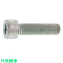 SUNCO Sコート ステンCAP (六角穴付きボルト) 日本鋲螺 8 X 25 (10本入) (品番:A0-02-000B-0080-0250-35-10)(...