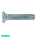 SUNCO スズコバルト サラCAP (TKS 5×10 (40本入) (品番:A0-00-200T-0050-0100-20-40)(注番3732279)・(...