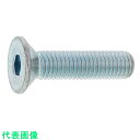SUNCO 三価ホワイト 皿CAP (日本鋲螺 20×60 (2本入) (品番:A0-00-200B-0200-0600-03-2)(注番3733814)・(送...