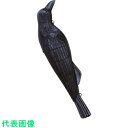 ミツギロン 防鳥用 コワガラス 高さ495mm EG-18 (品番:KG-B)(注番3759661)