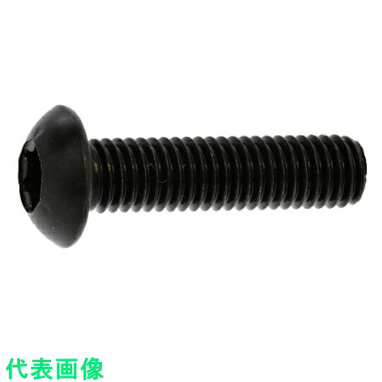 SUNCO　ステンレス　TORX－ボタンCAP　4×45　（10本入） （品番:A0-02-T100-0040-0450-00-10）（注番3774113）・（送料別途見積り,法人・事業所限定,取寄）