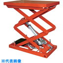 TRUSCO テーブルリフト 70kg 倍速タイプ 電動Bねじ式 200V 400×650mm (品番:HDL-W0746RT-22)(注番3800755)・(...